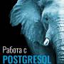 postgresql_leopard_cover.jpg