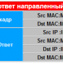 arp_usage_7.png