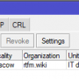 mikrotik_ovpn_client_3.png