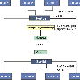 proxy_arp.gif