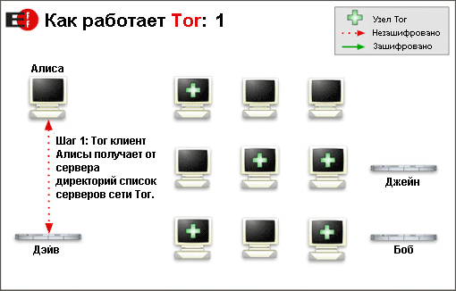 tor_1.png