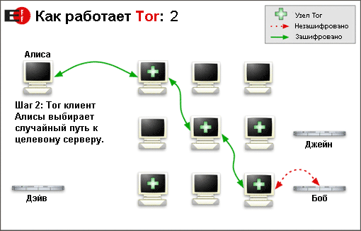 tor_2.png