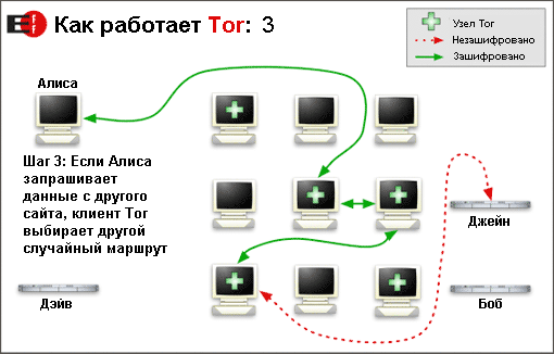 tor_3.png